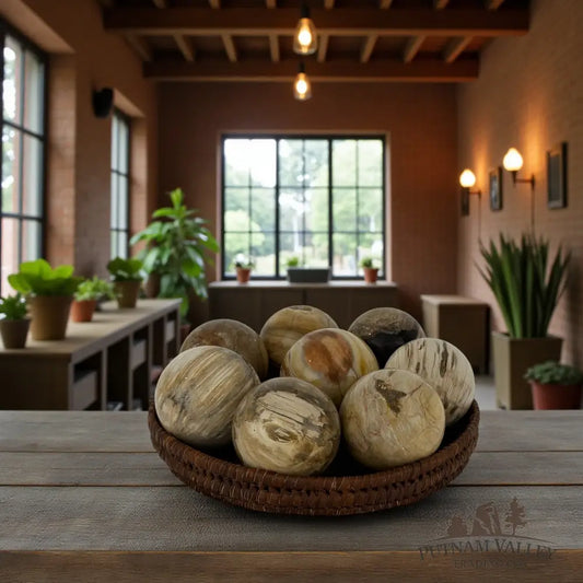 Artisan Petrified Wood Spheres 2.41’’ - 2.7’’ Sphere