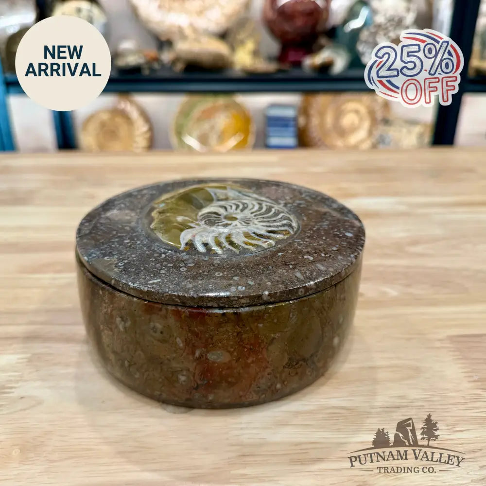 Artisan’s Revival Ammonite & Orthoceras Fossil Keepsake Box 5.75’’ - Fossil Trinket Box