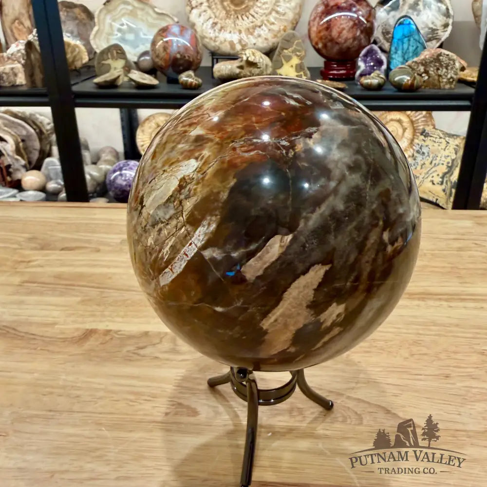 Madagascar Petrified Wood Sphere 5.48’’ - Sphere
