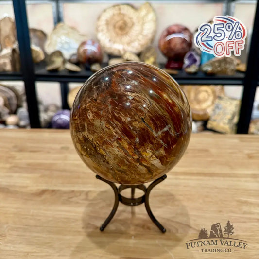 Madagascar Petrified Wood Sphere 5.48’’ - Sphere