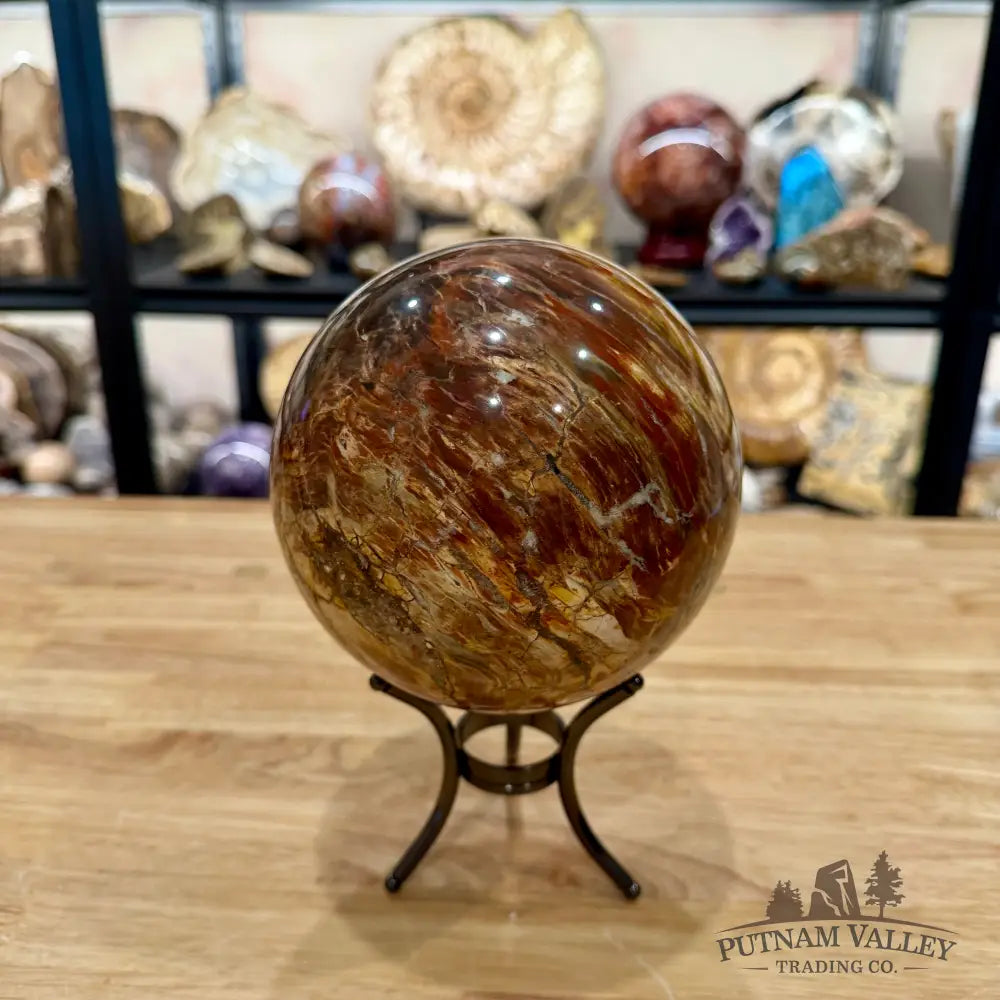 Madagascar Petrified Wood Sphere 5.48’’ - Sphere