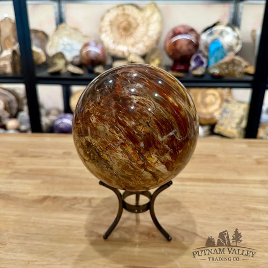 Madagascar Petrified Wood Sphere 5.48’’ - Sphere