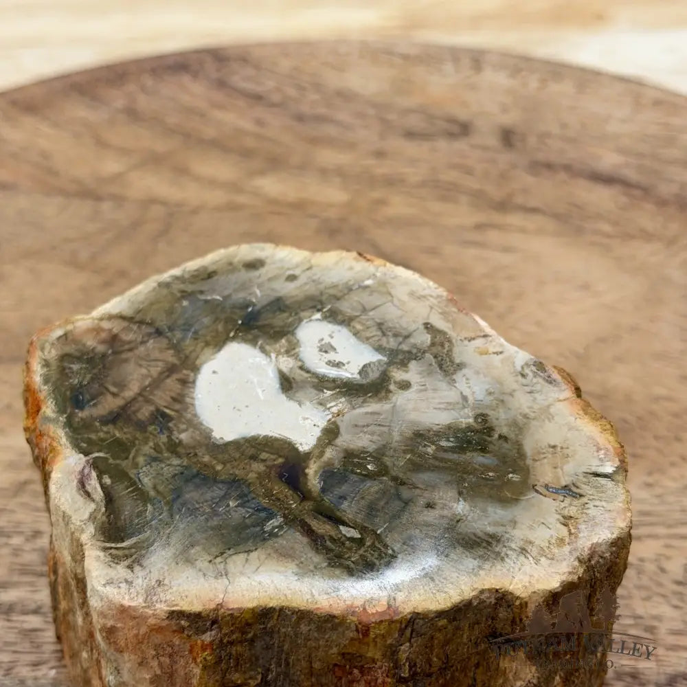 Artisan’s Revival Petrified Wood Mini Stump Accent 3.46’’ - Free Standing Accent