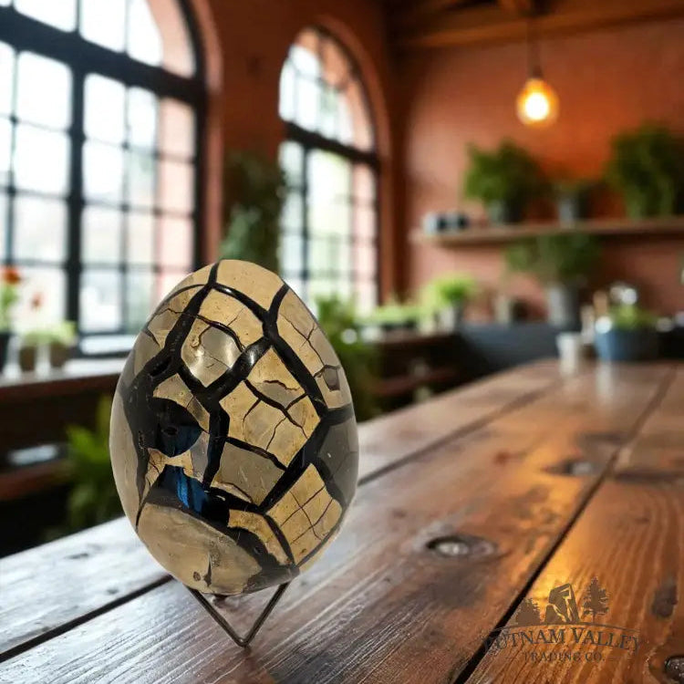 Septarian Egg Egg