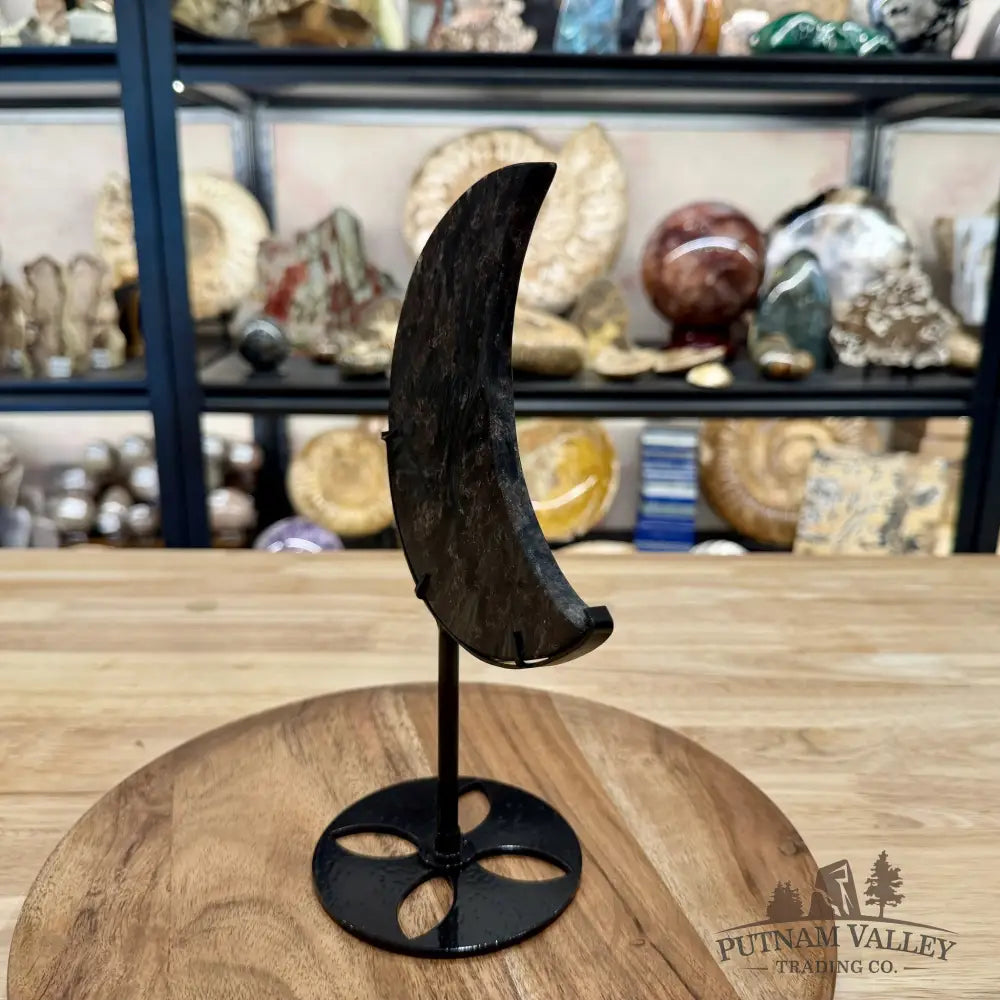 Astrophyllite Moon + Stand 9.5’’ - Moon