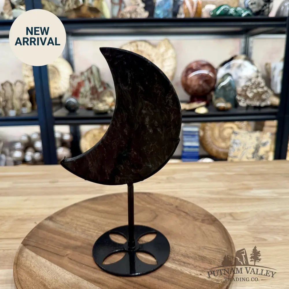 Astrophyllite Moon + Stand 9.5’’ - Moon