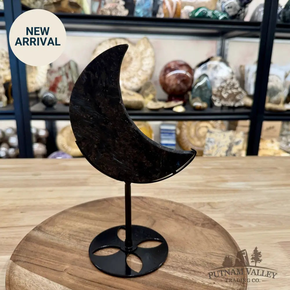 Astrophyllite Moon + Stand 9.75’’ 1.26 - Moon