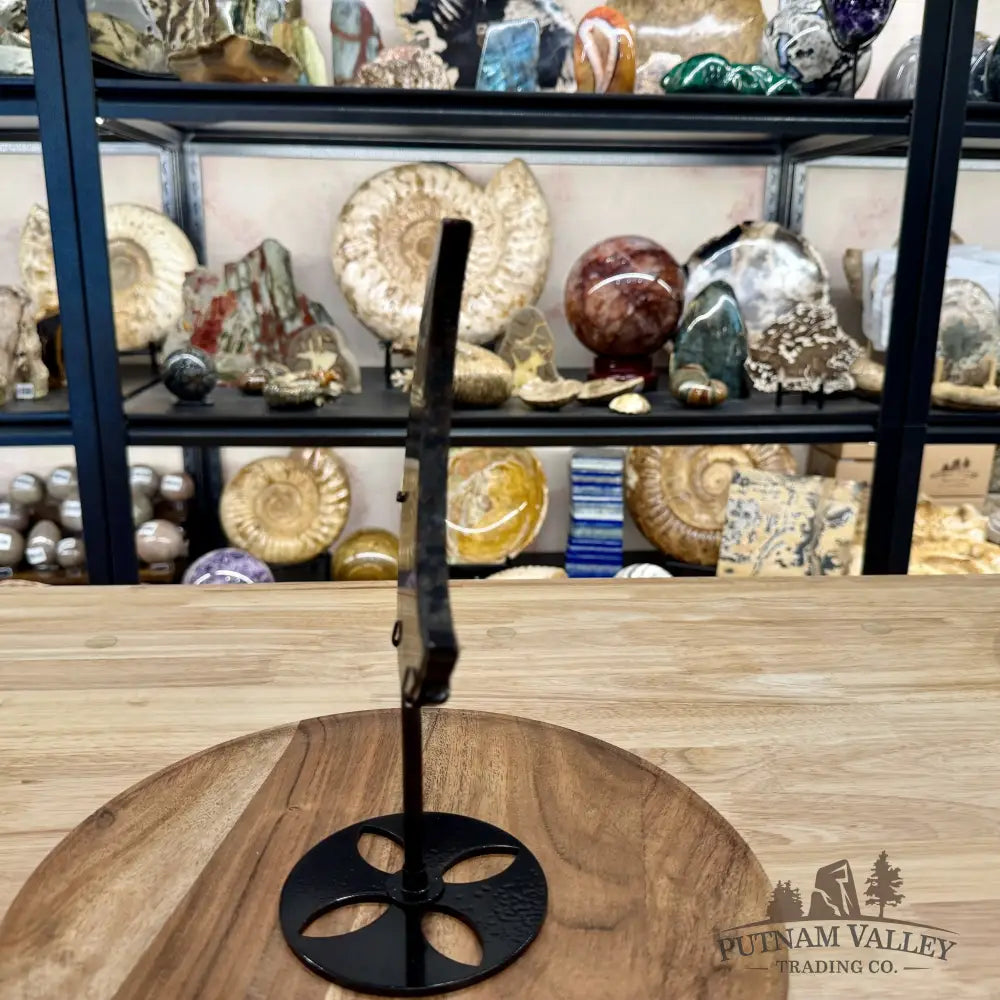 Astrophyllite Moon + Stand 9.75’’ 1.26 - Moon
