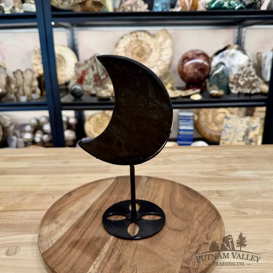 Astrophyllite Moon + Stand 9.75’’ - Moon