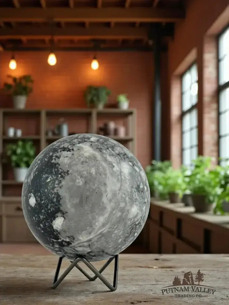 Authentic Conch Fossil Sphere 5.24" - Putnam Valley Trading Co.