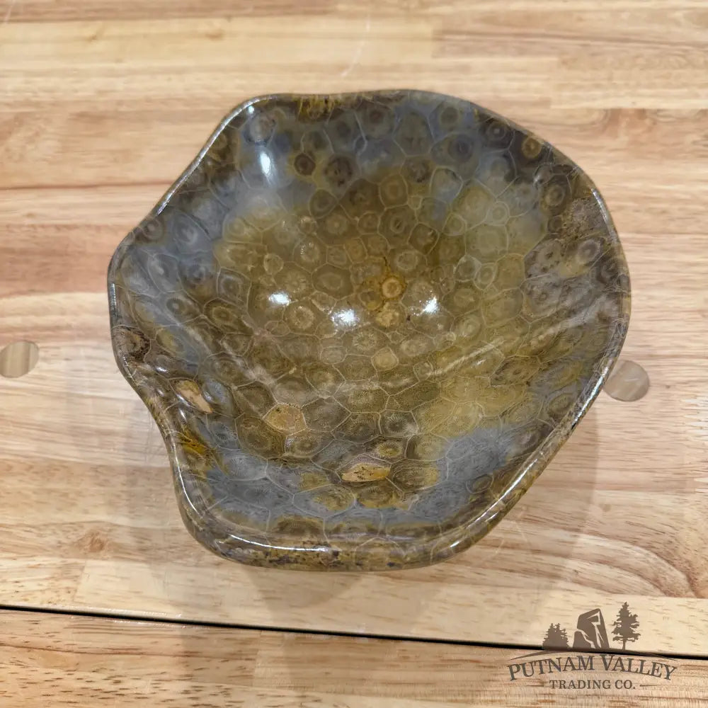Authentic Coral Fossil Bowl - Fossil Bowl