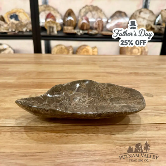 Authentic Coral Fossil Bowl Fossil Bowl