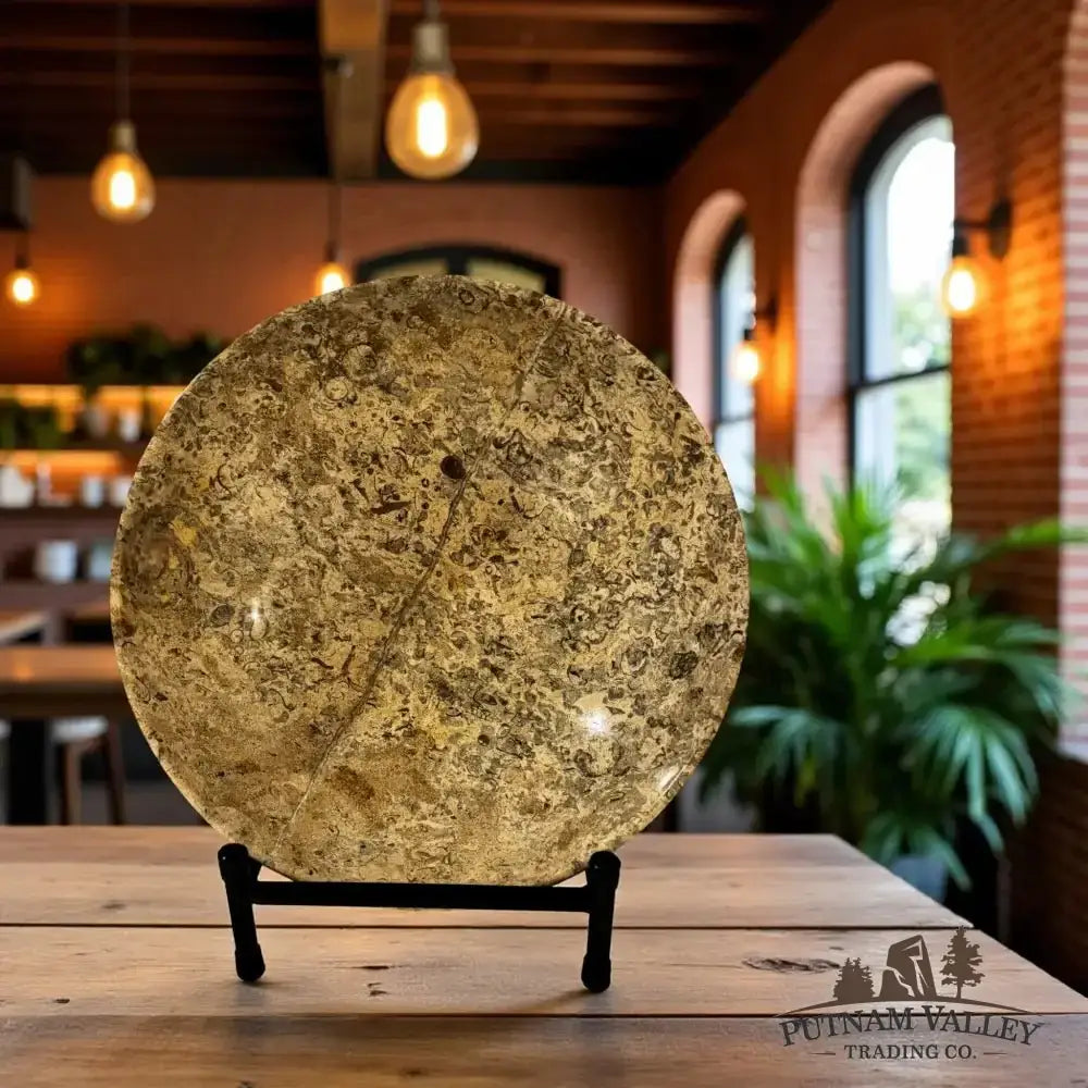 Authentic Fossil Marble Bowl 10" - Putnam Valley Trading Co.