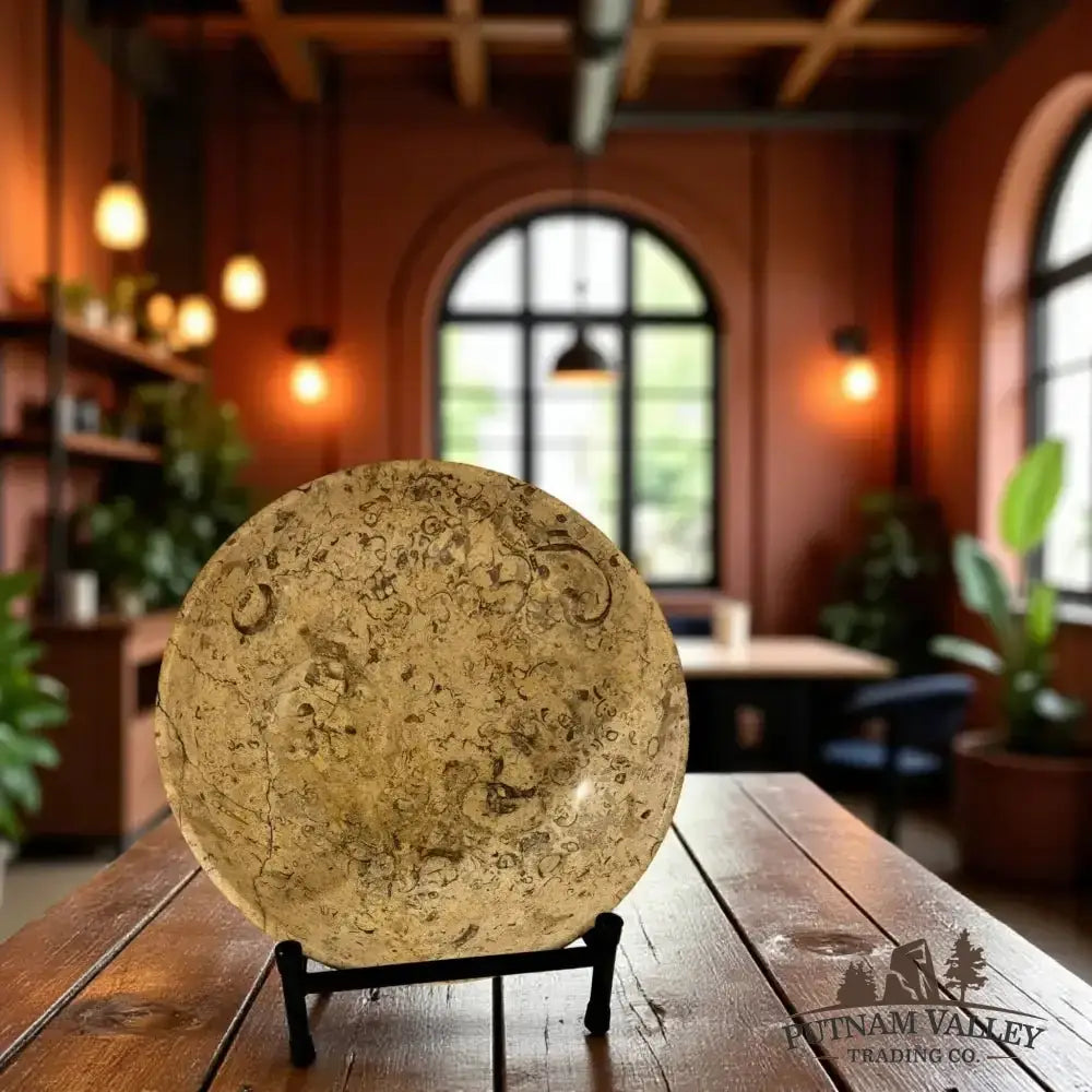 Authentic Fossil Marble Bowl 10" - Putnam Valley Trading Co.