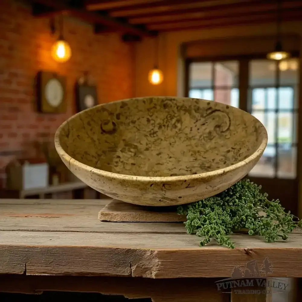 Authentic Fossil Marble Bowl 10" - Putnam Valley Trading Co.
