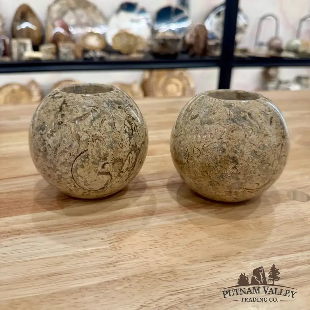 Authentic Fossil Marble Candle Holder - Putnam Valley Trading Co.
