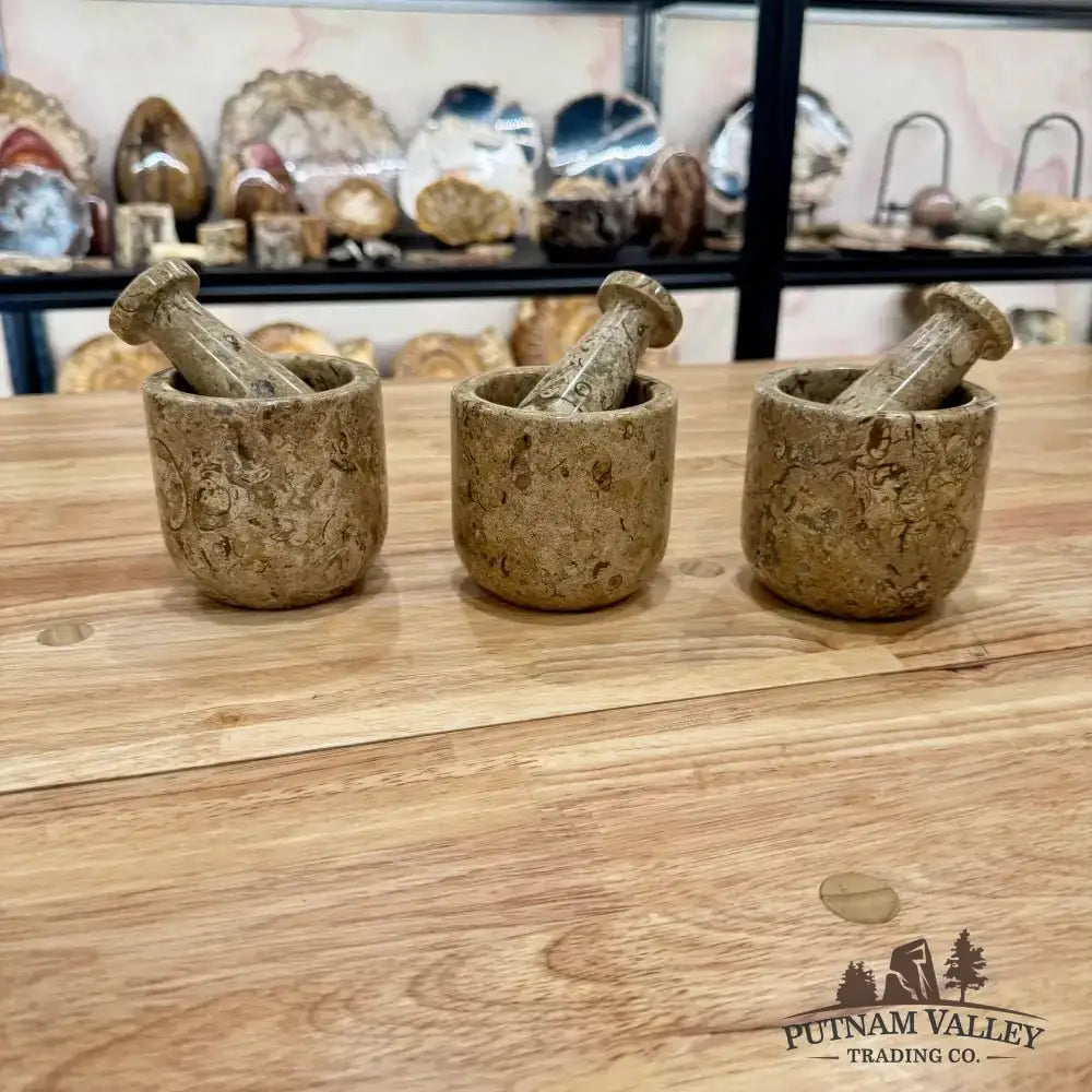 Authentic Fossil Marble Mortar & Pestle 3.5" - Putnam Valley Trading Co.