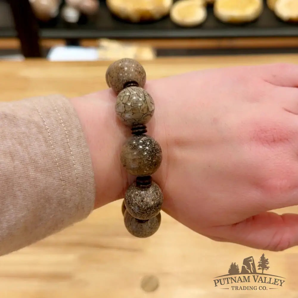 Fossilized Dinosaur Bone Bracelet Bracelet