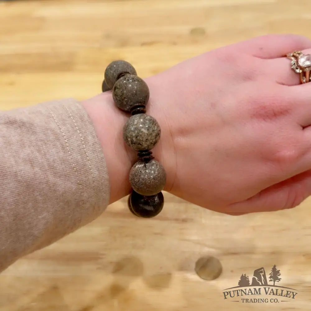 Fossilized Dinosaur Bone Bracelet Bracelet