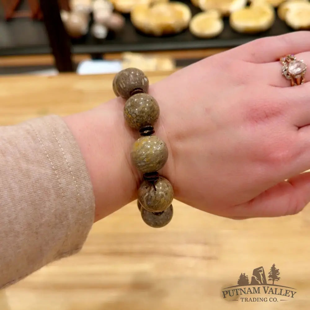 Fossilized Dinosaur Bone Bracelet Bracelet