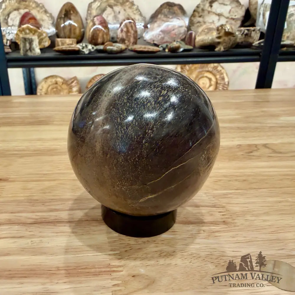 Authentic Fossilized Dinosaur Bone Sphere 3.36’’ Fossil Sphere