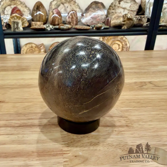 Authentic Fossilized Dinosaur Bone Sphere 3.36’’ Fossil Sphere