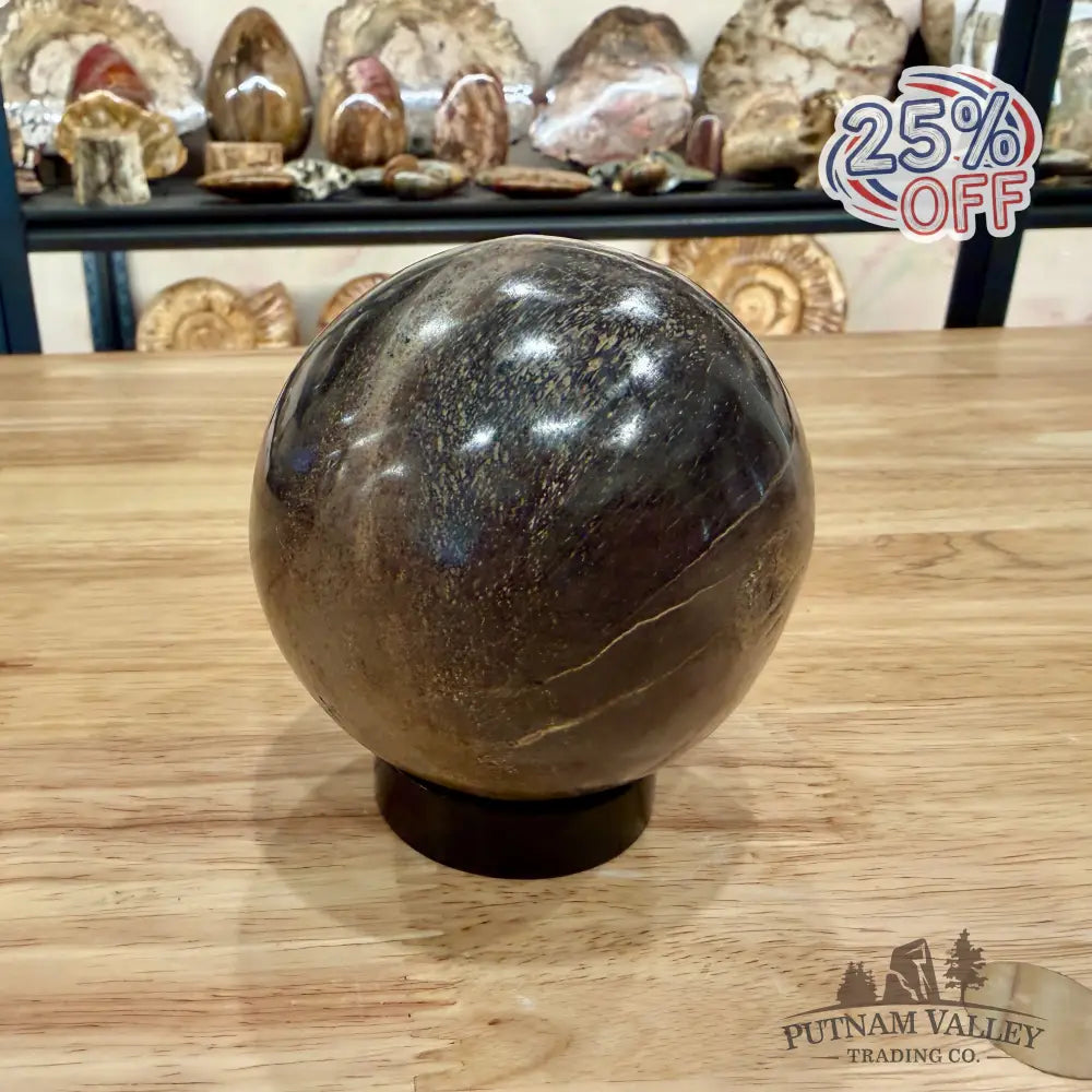 Authentic Fossilized Dinosaur Bone Sphere 3.36’’ Fossil Sphere