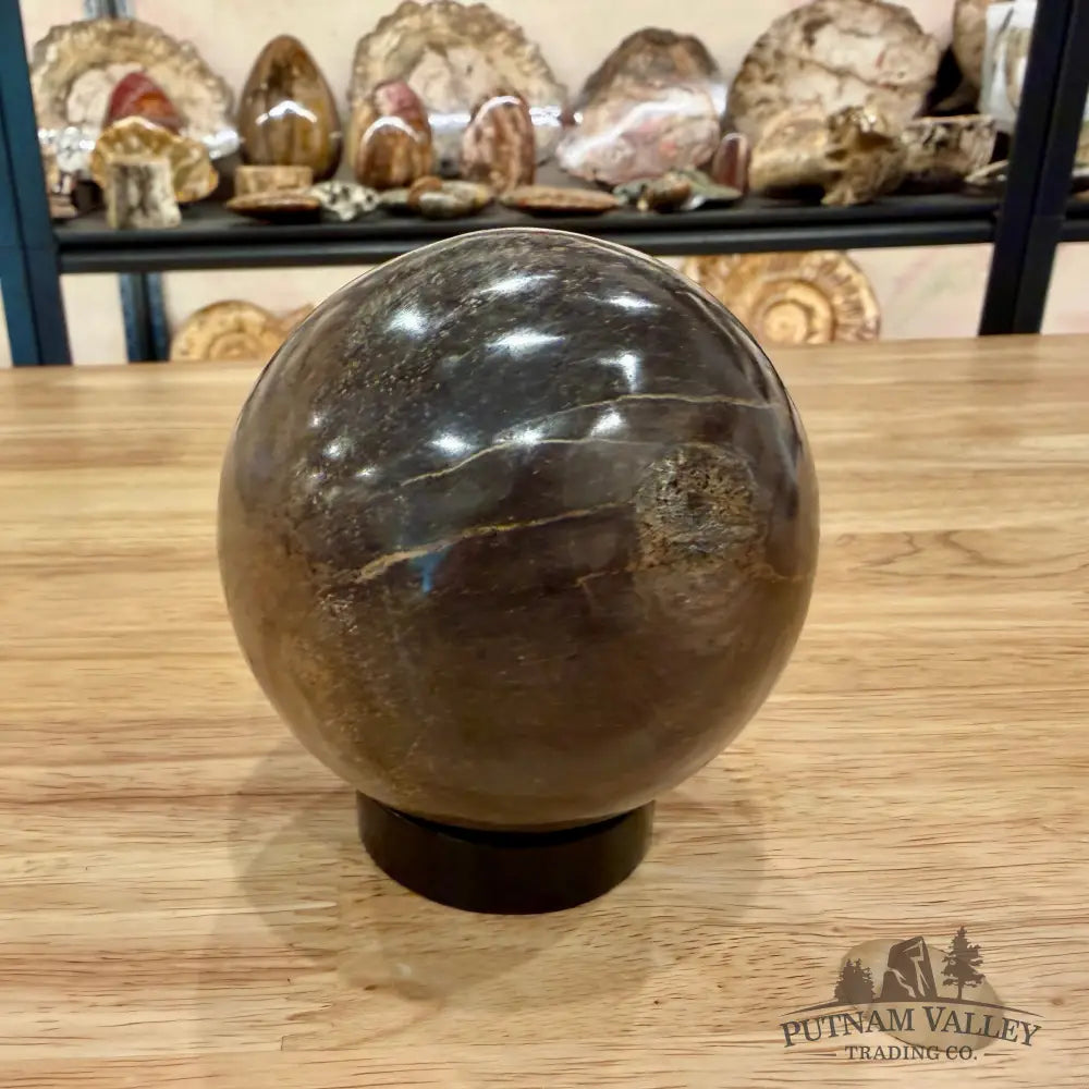 Authentic Fossilized Dinosaur Bone Sphere 3.36’’ Fossil Sphere