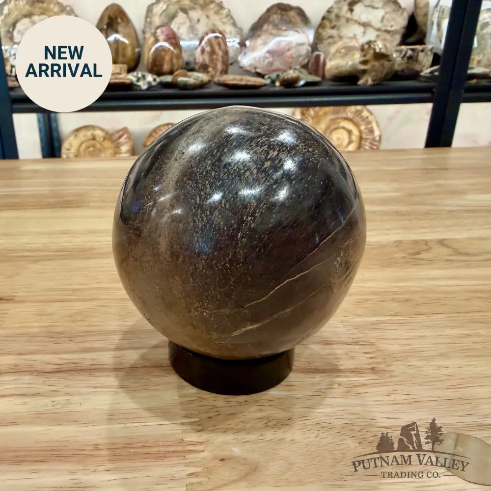 Authentic Fossilized Dinosaur Bone Sphere 3.36’’ Fossil Sphere