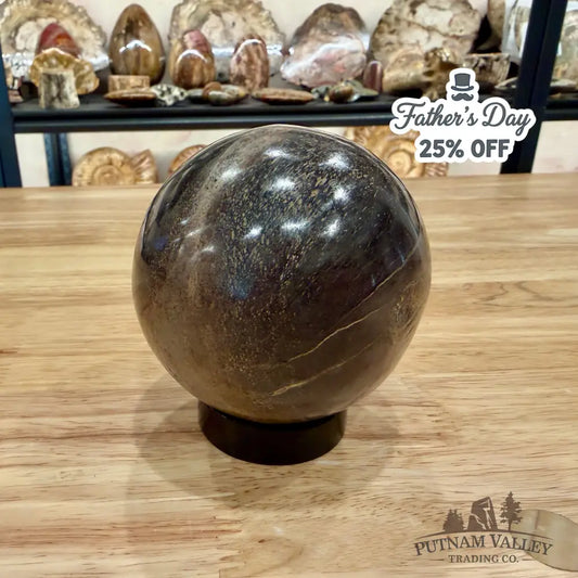 Authentic Fossilized Dinosaur Bone Sphere 3.36’’ Fossil Sphere