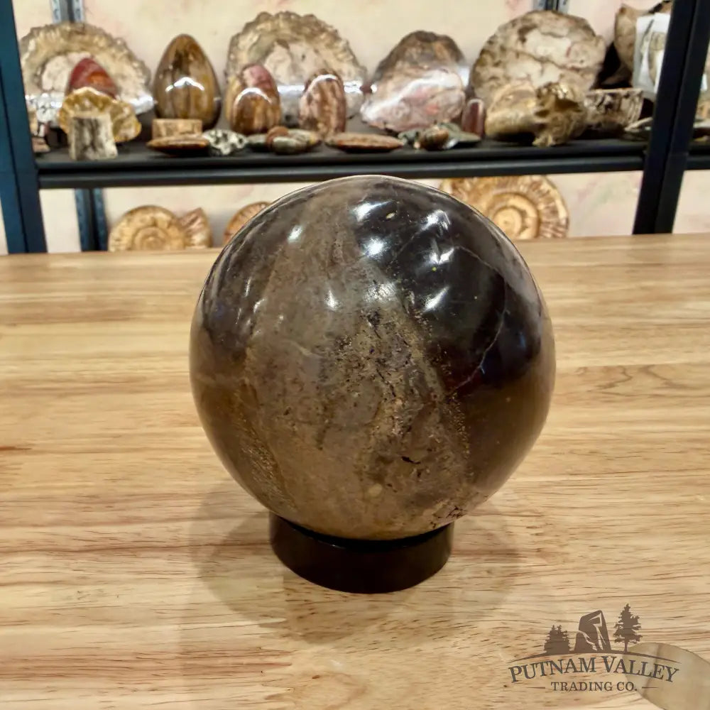 Authentic Fossilized Dinosaur Bone Sphere 3.36’’ Fossil Sphere