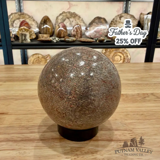 Authentic Fossilized Dinosaur Bone Sphere 3.44’’ Fossil Sphere