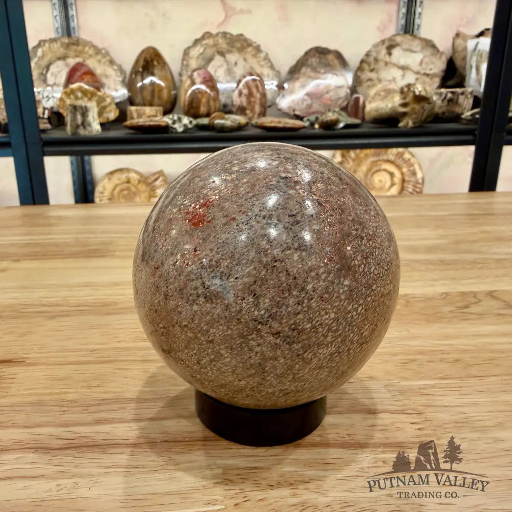 Authentic Fossilized Dinosaur Bone Sphere 3.44’’ Fossil Sphere