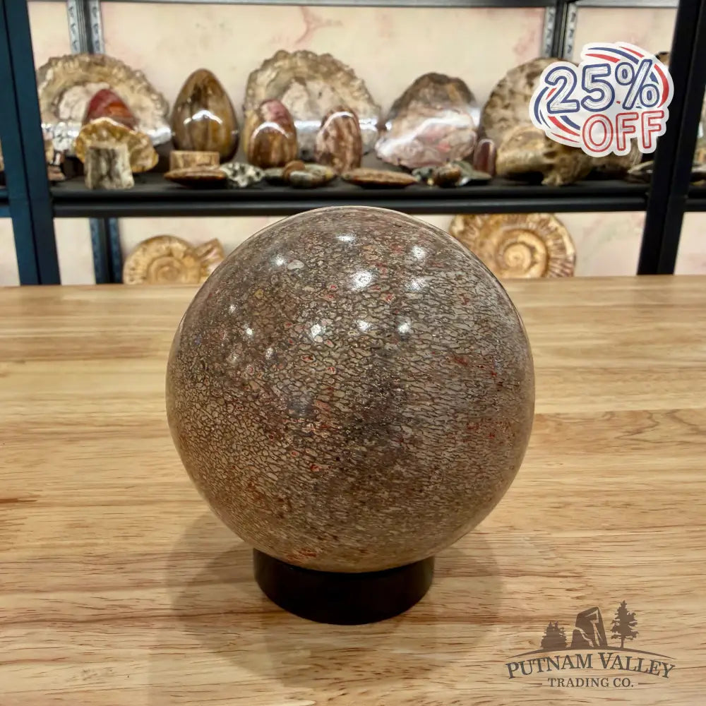 Authentic Fossilized Dinosaur Bone Sphere 3.44’’ Fossil Sphere