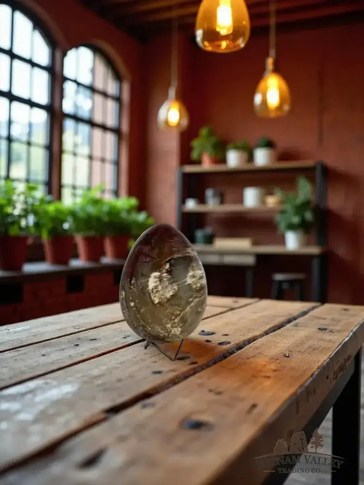 Authentic Petrified Wood Egg Front View - Putnam Valley Trading