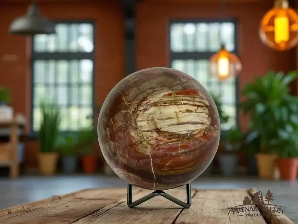 Authentic Petrified Wood Sphere 3.9" - Putnam Valley Trading Co.