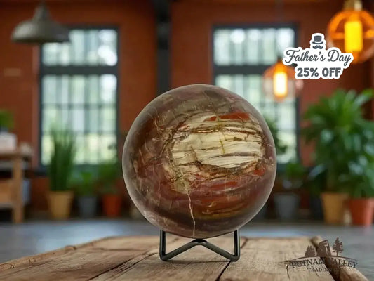 Authentic Petrified Wood Sphere 3.9" - Putnam Valley Trading Co.