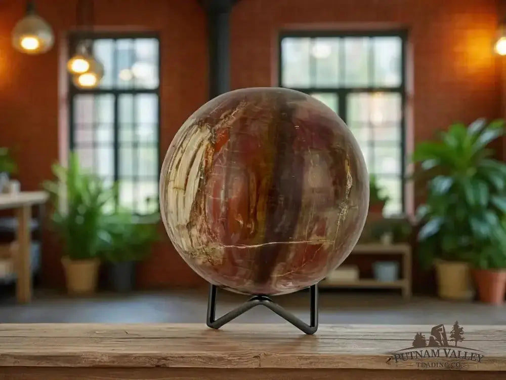 Authentic Petrified Wood Sphere 3.9" - Putnam Valley Trading Co.