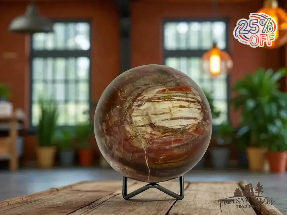 Authentic Petrified Wood Sphere 3.9" - Putnam Valley Trading Co.