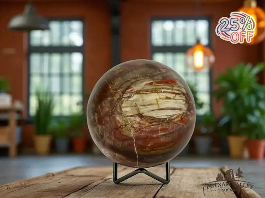 Authentic Petrified Wood Sphere 3.9" - Putnam Valley Trading Co.