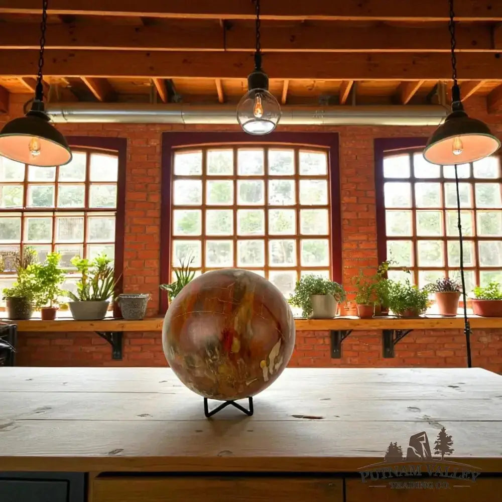 Authentic Petrified Wood Sphere 5.4" - Putnam Valley Trading Co.