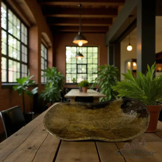 Authentic Reserve Coral Fossil Bowl - Putnam Valley Trading Co.