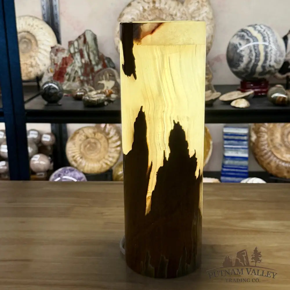 Banded Calcite Lamp 11.75’’ 6.28 - Lamp
