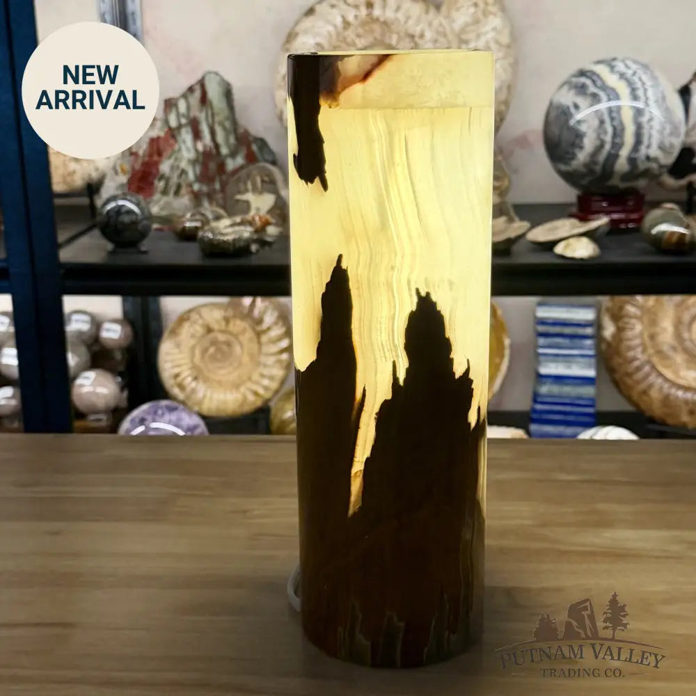 Banded Calcite Lamp 11.75’’ 6.28 - Lamp