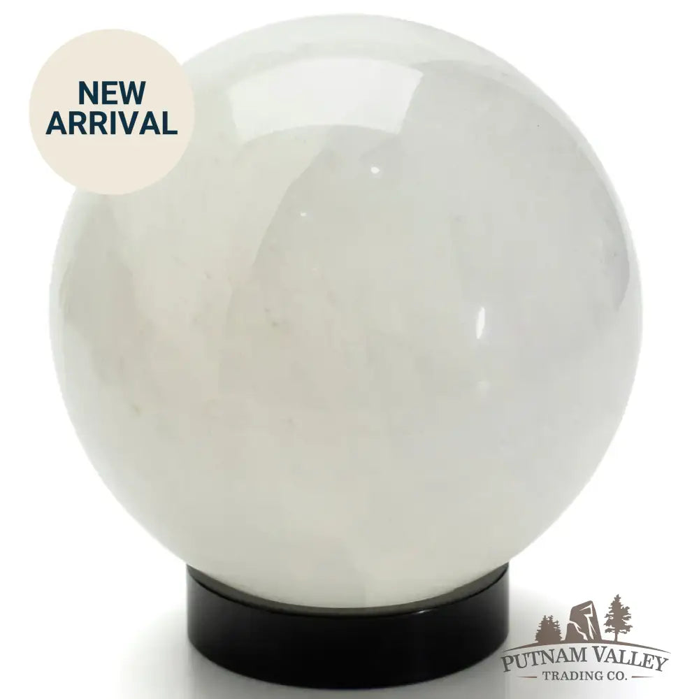 Black Metal Ring Sphere Stand Stand