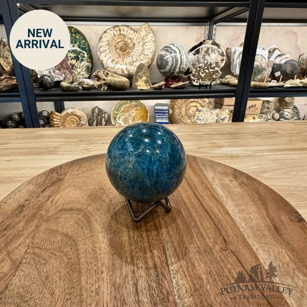 Blue Apatite Sphere 2.79’’ | Madagascar - Sphere
