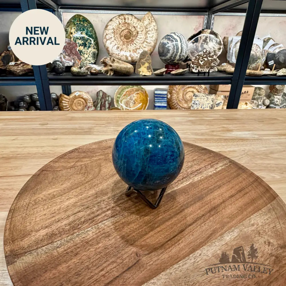 Blue Apatite Sphere 2.81’’ | Madagascar - Sphere