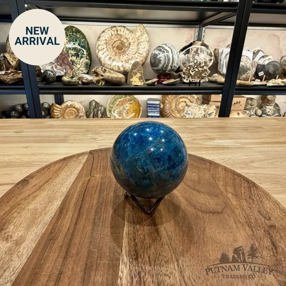Blue Apatite Sphere 2.82’’ | Madagascar - Sphere