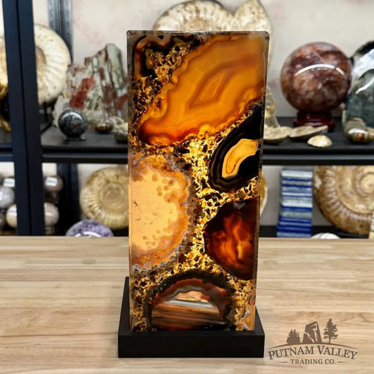 Brazilian Agate Mosaic Table Lamp 11.5’’ - Lamp