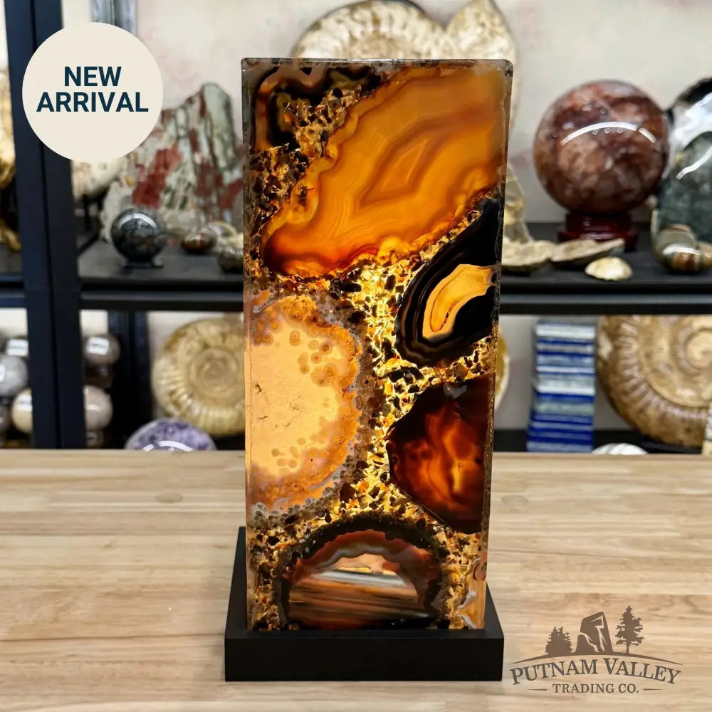Brazilian Agate Mosaic Table Lamp 11.5’’ - Lamp